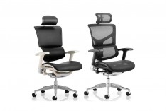 Ergo Dynamic Posture Chair